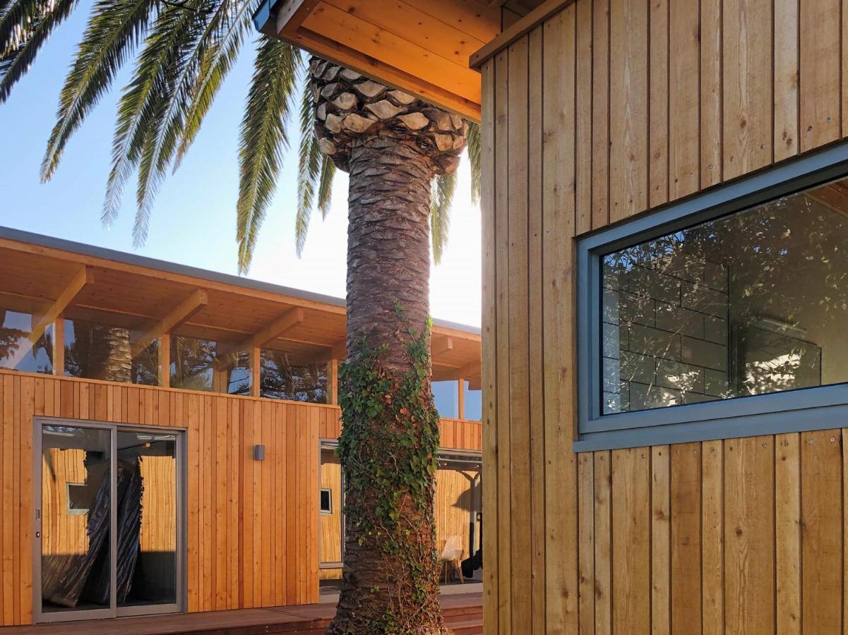 Palm&Pine Cottage Kapstaden Exteriör bild